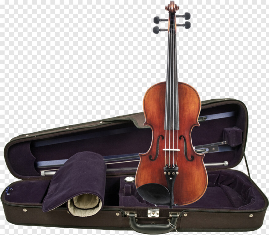 violin # 1053906