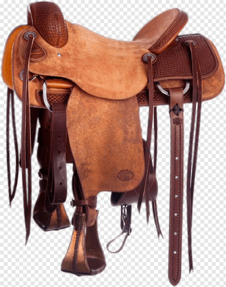 saddle # 672095
