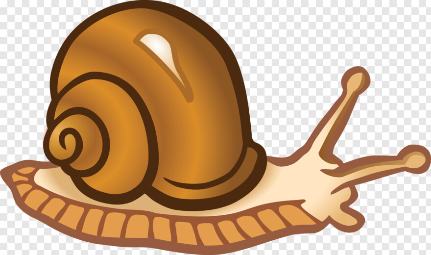 snail # 999285