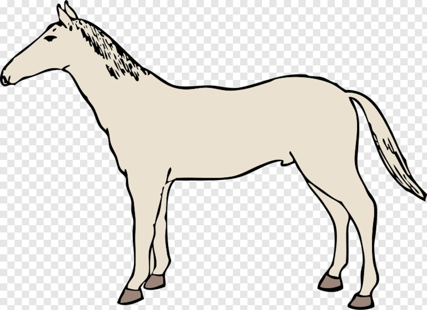 horse # 935418