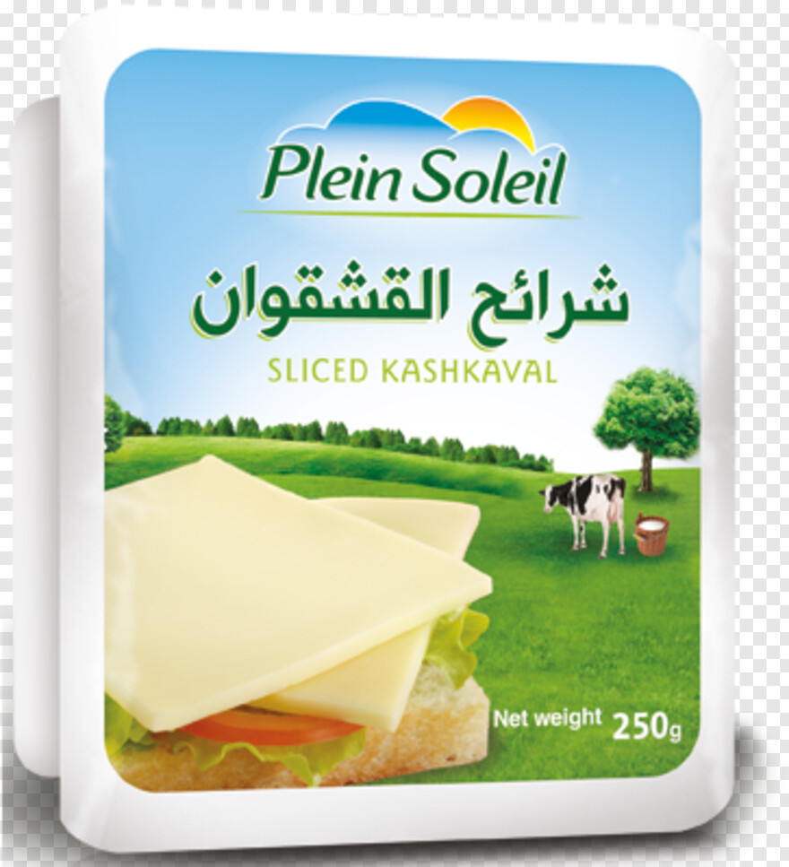 swiss-cheese # 347731