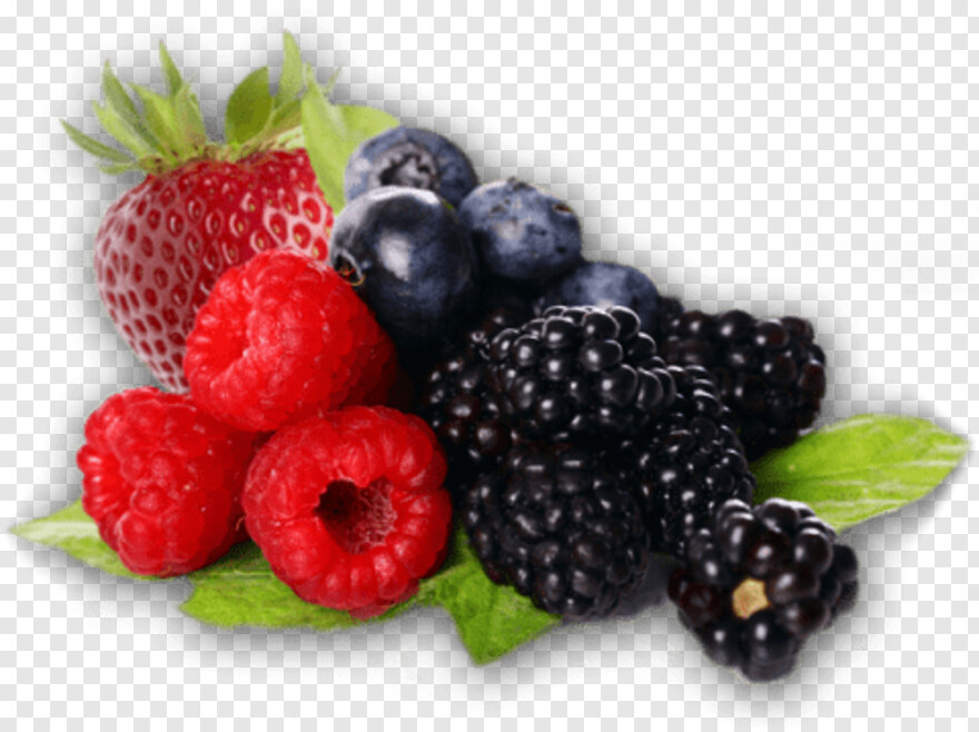 berries # 372130