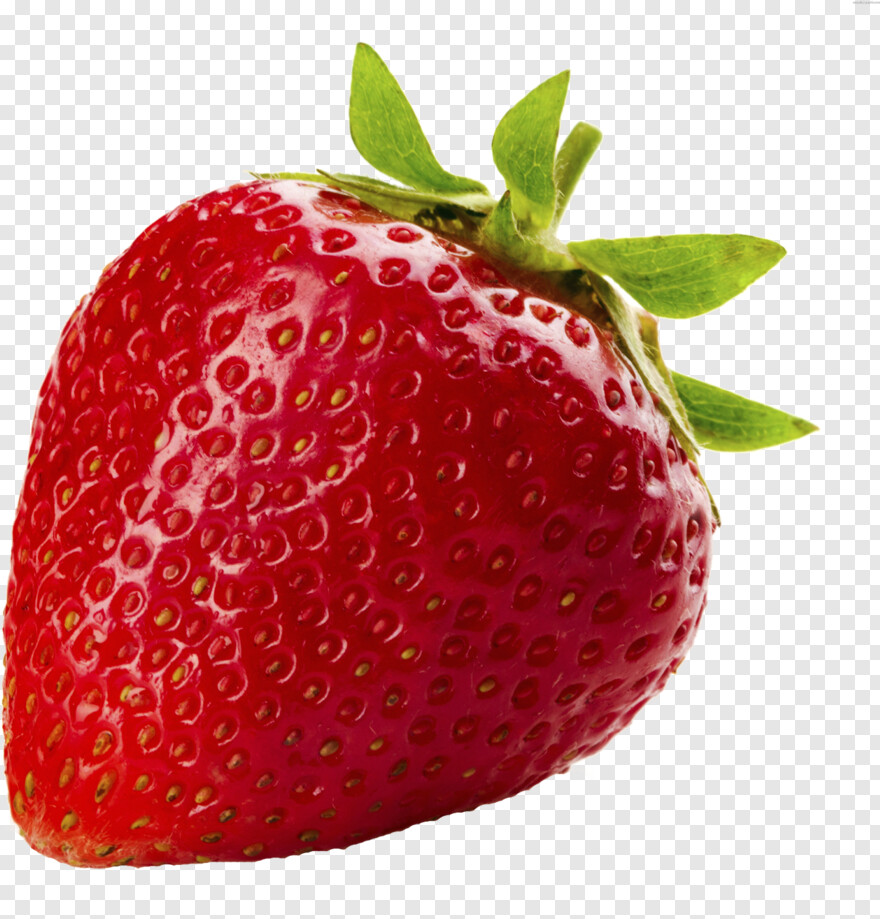 strawberry-shortcake # 610024