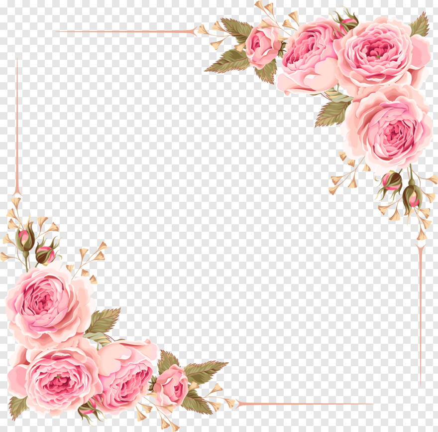 pink-rose-flower # 330286