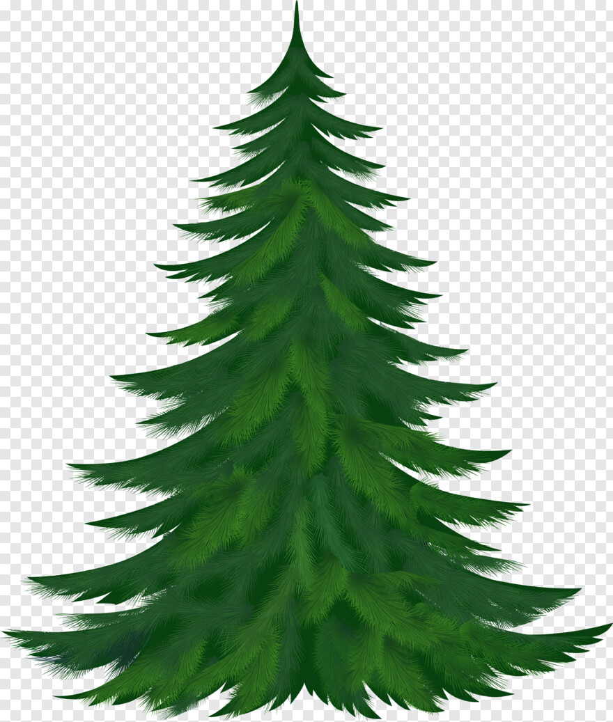 pine-tree-branch # 461555
