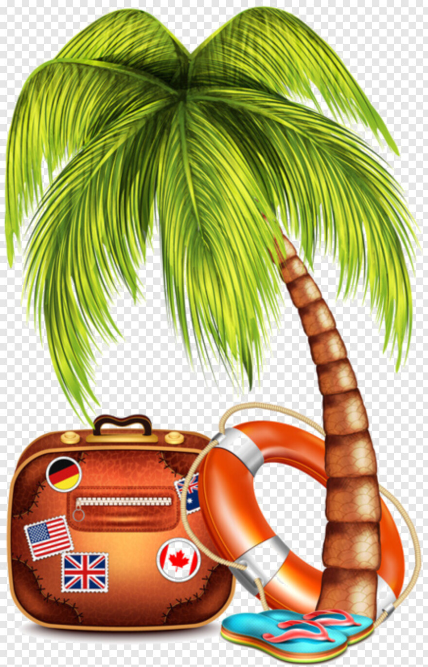 beach-coconut-tree # 391531