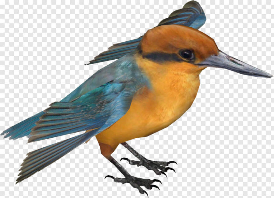 kingfisher-logo # 779787
