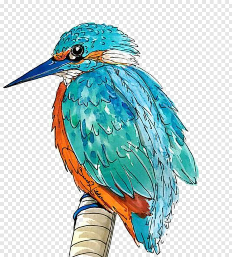 kingfisher-logo # 730578