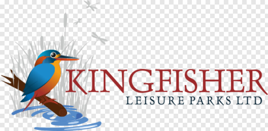 kingfisher-logo # 730571