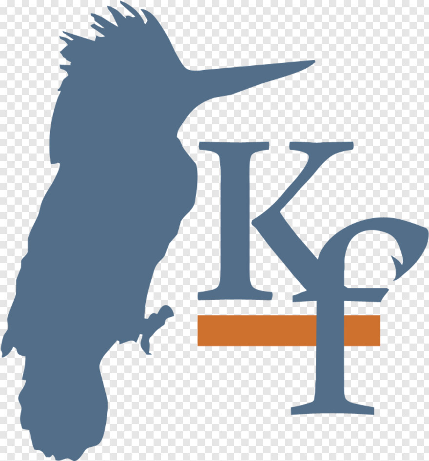 kingfisher-logo # 730558