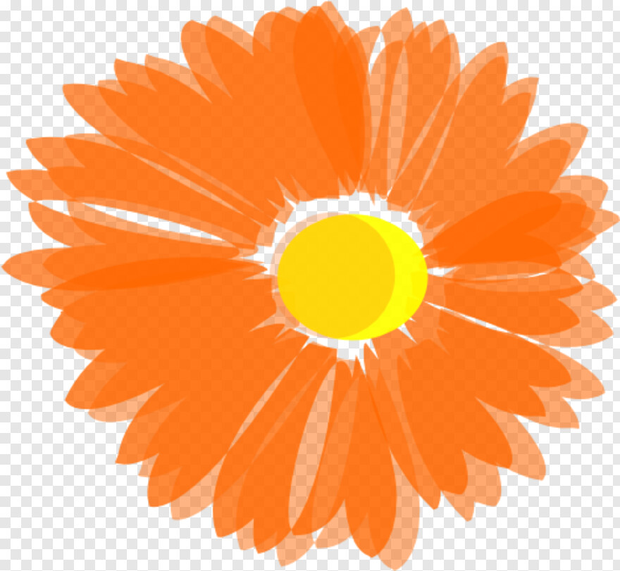 marigold-flower # 370599