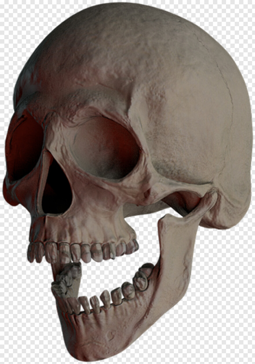skull-and-crossbones # 333806