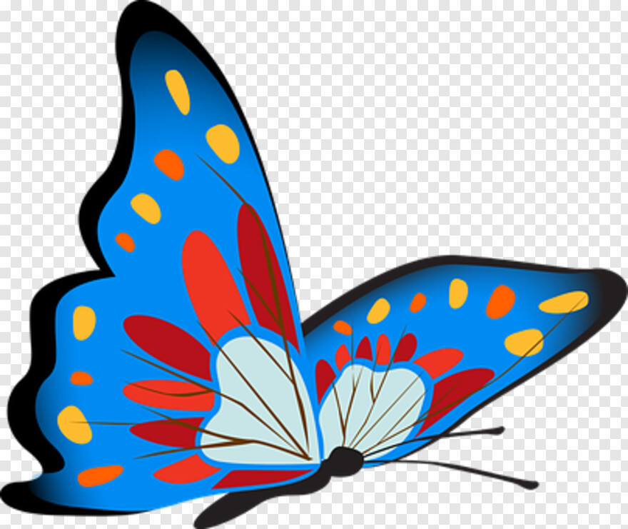 butterfly-wings # 343510