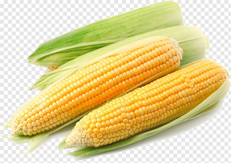 candy-corn # 956563