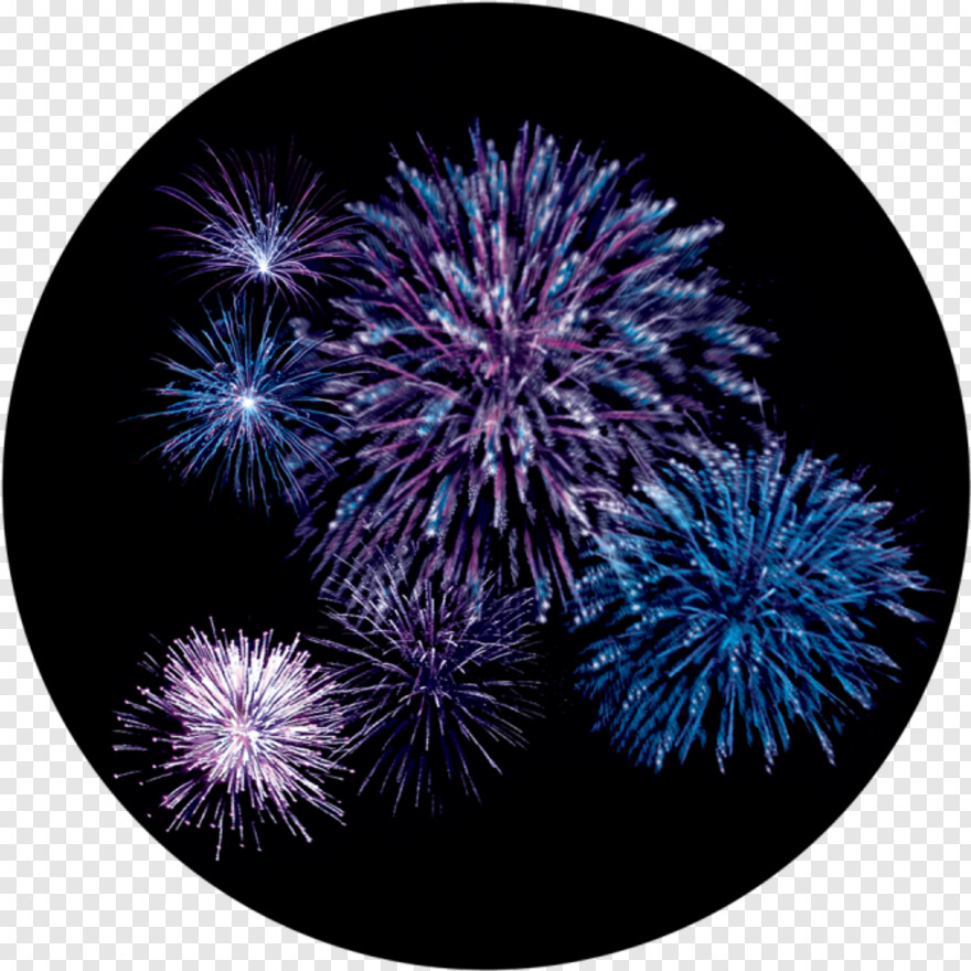 celebration-firework # 503966