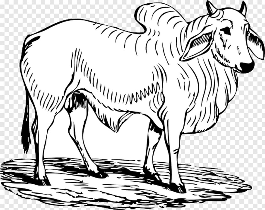 red-bull-logo # 355557