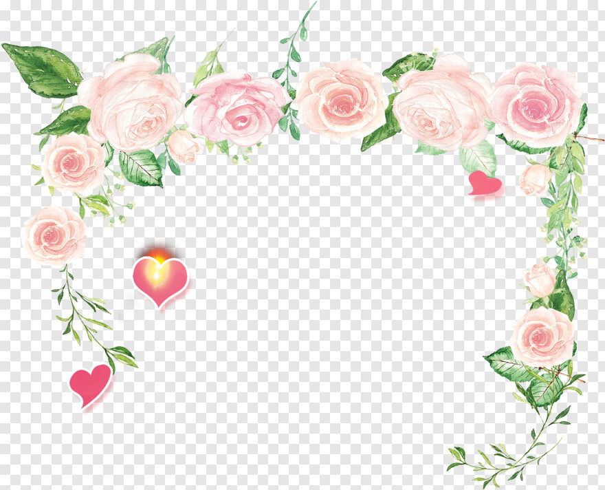  Rose Flower, Rose Flower Vector, Flower Border, Single Rose Flower, Vintage Flower Border, Pink Rose Flower
