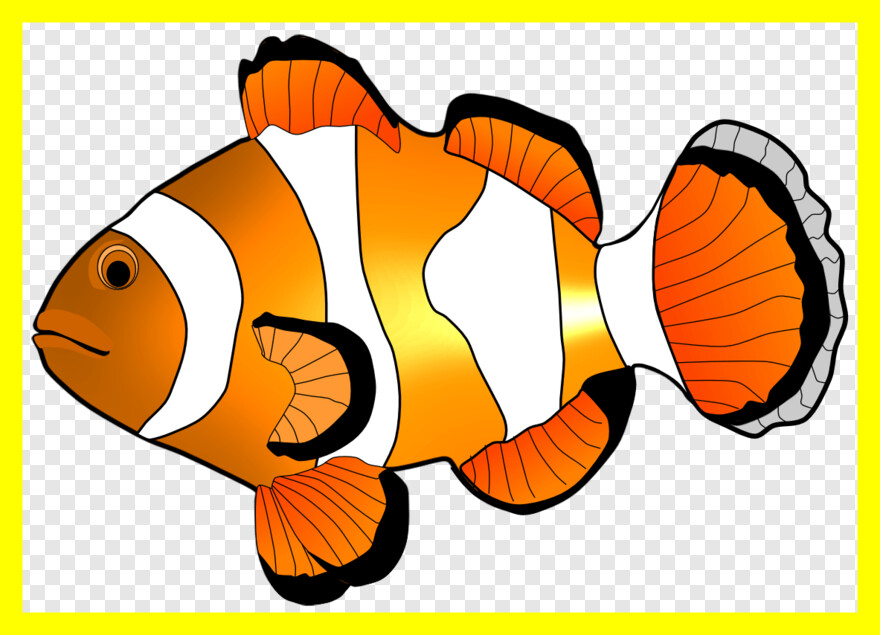 clown-fish # 480615