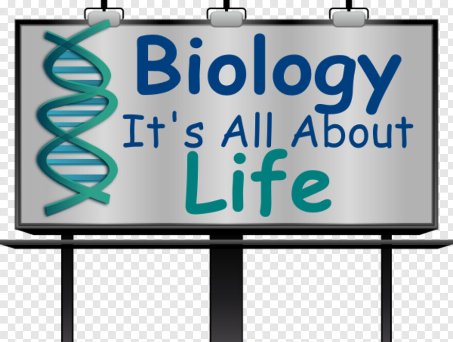 biology # 539208