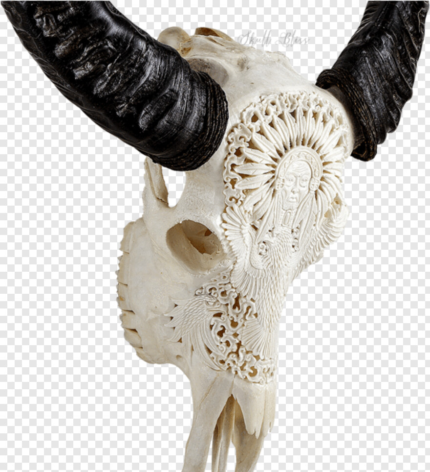 skull-and-crossbones # 1105466