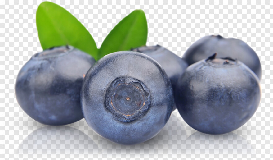 blueberry # 428616