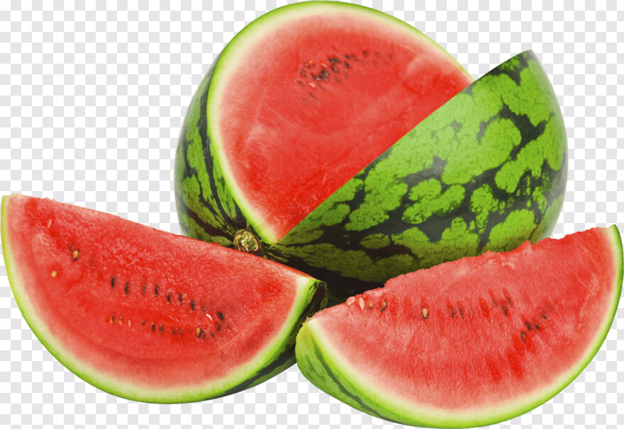 watermelon-slice # 591835