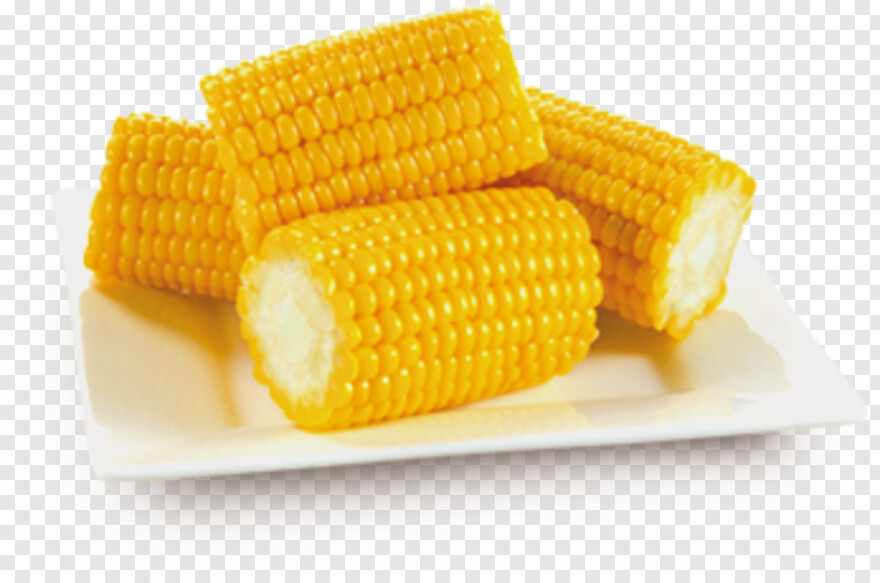 sweet-corn # 435026