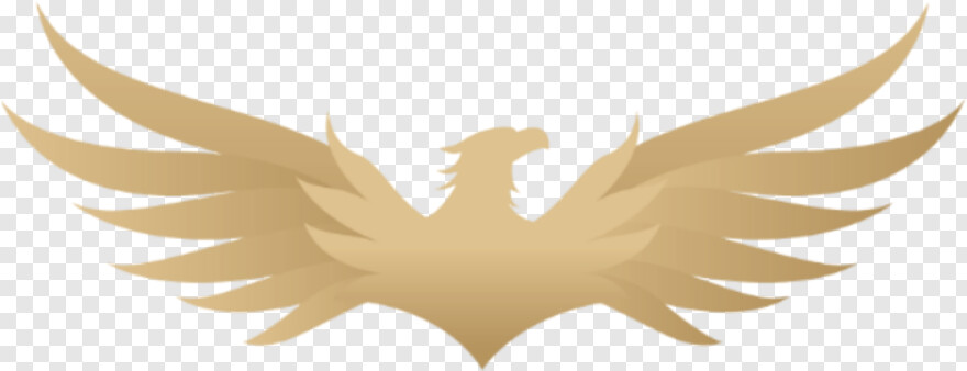 phoenix-logo # 412648