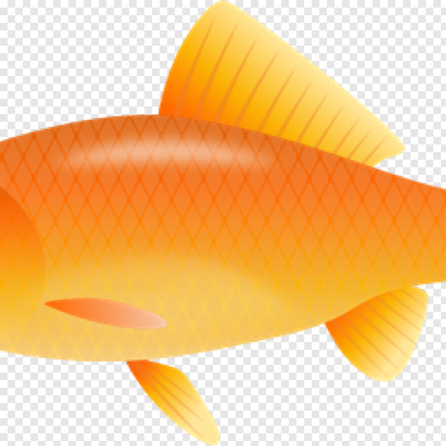 goldfish # 415850