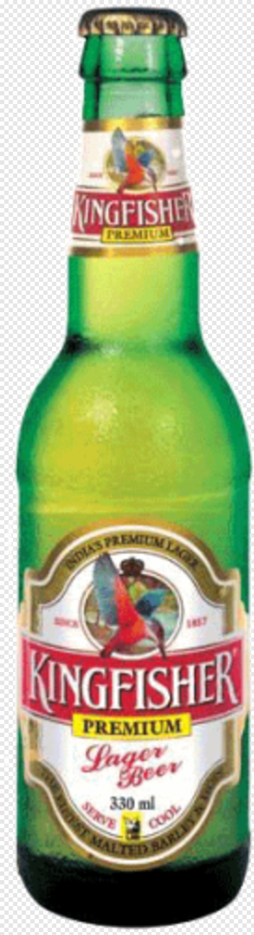 kingfisher-beer # 381352