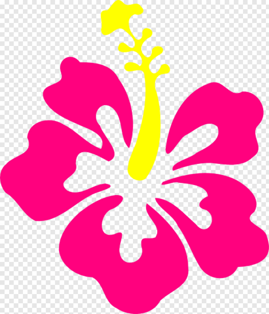 hibiscus-flower # 472926