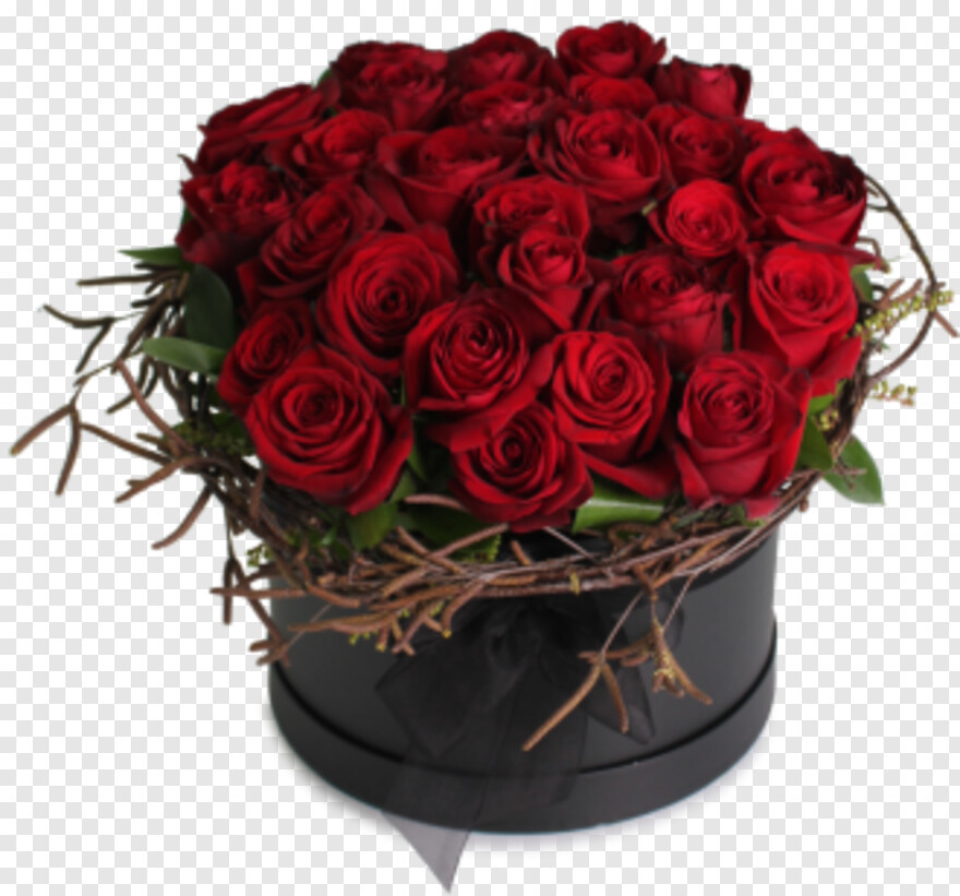 single-rose-flower # 319587