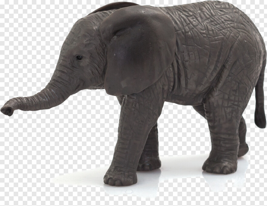 elephant # 558056
