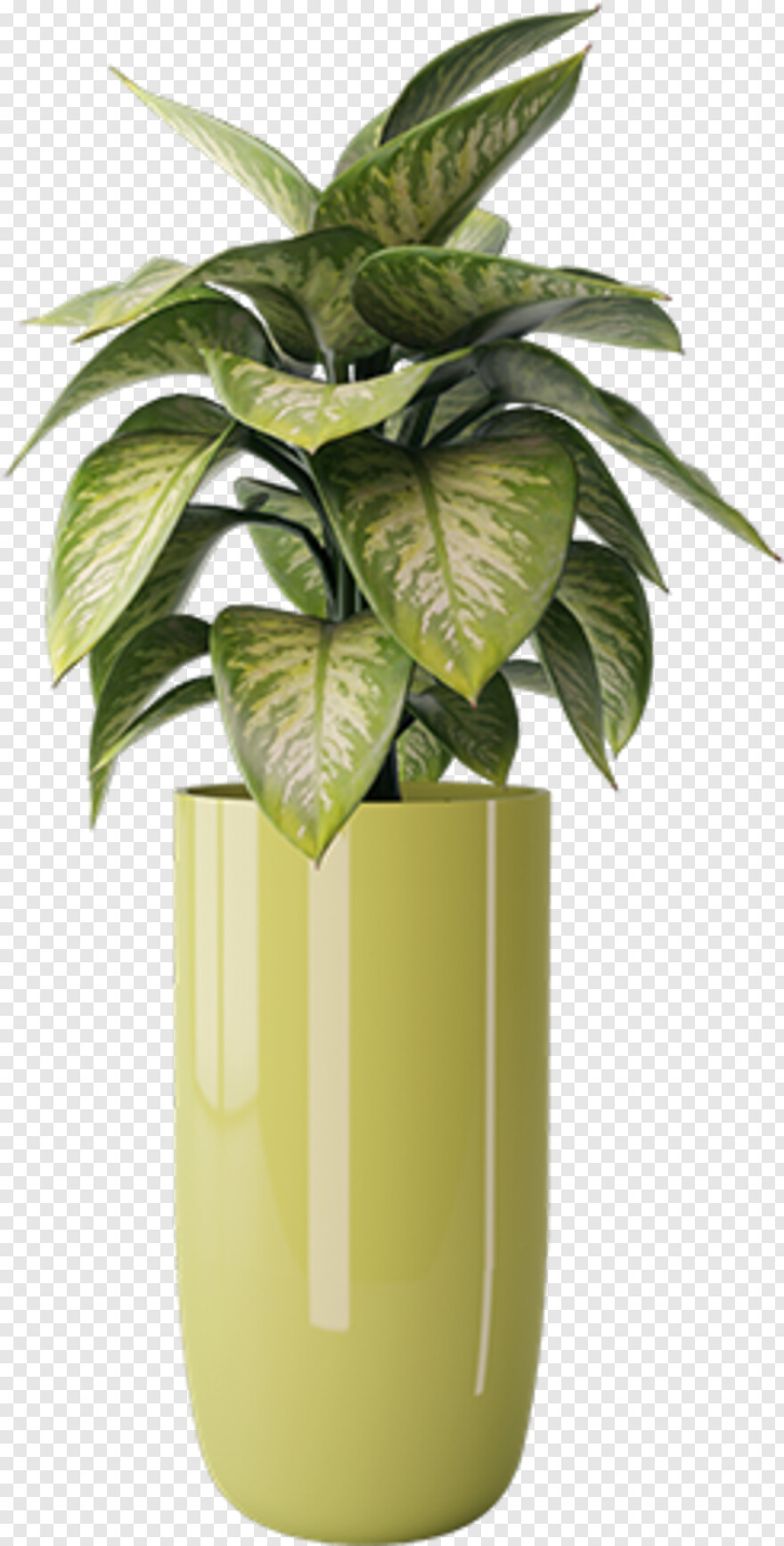 potted-plant # 823697