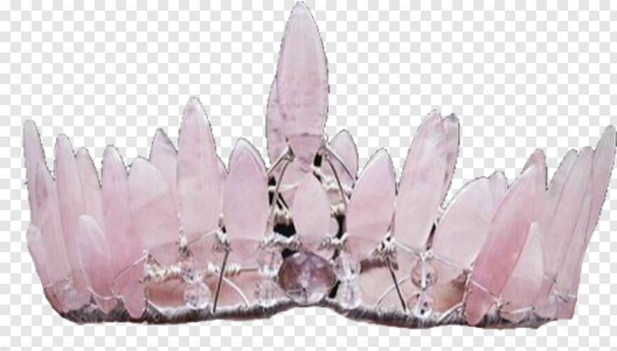 pink-crown # 654050