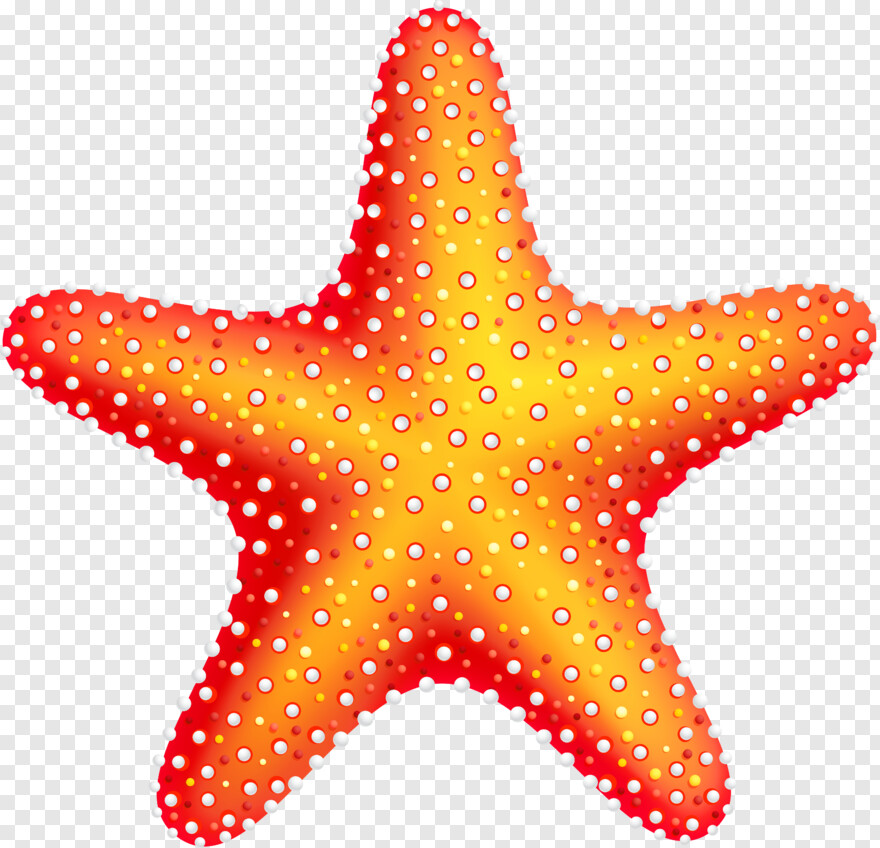 starfish # 480059