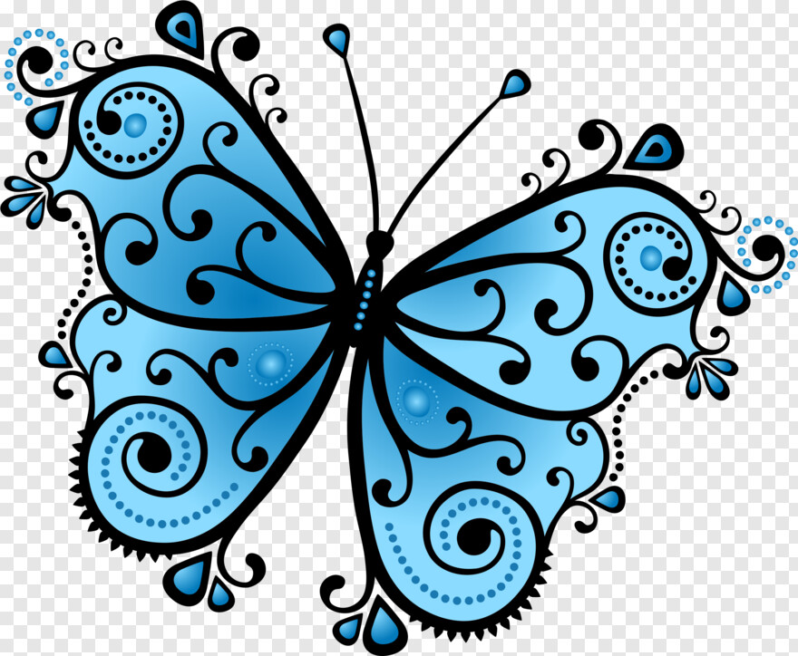 butterfly-wings # 343522