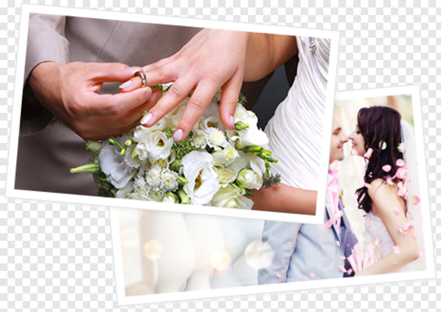  Wedding Cake, Wedding Flowers, Wedding Bands, Wedding Border, Wedding Ring Clipart, Wedding
