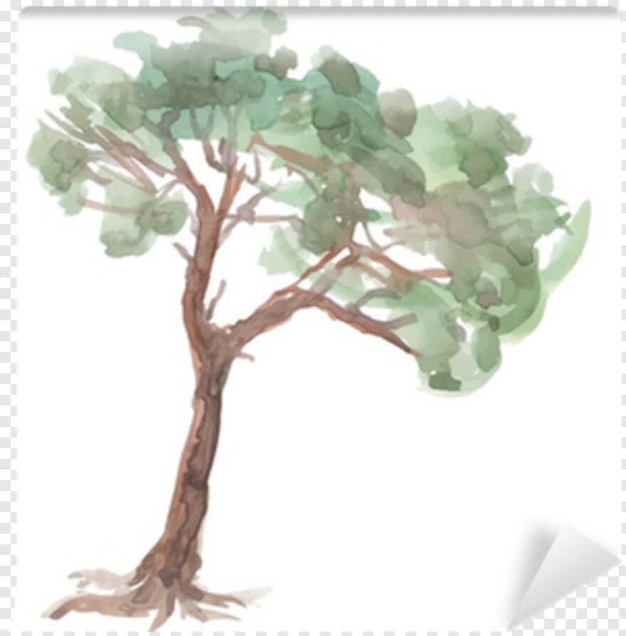 pine-tree-clip-art # 459005