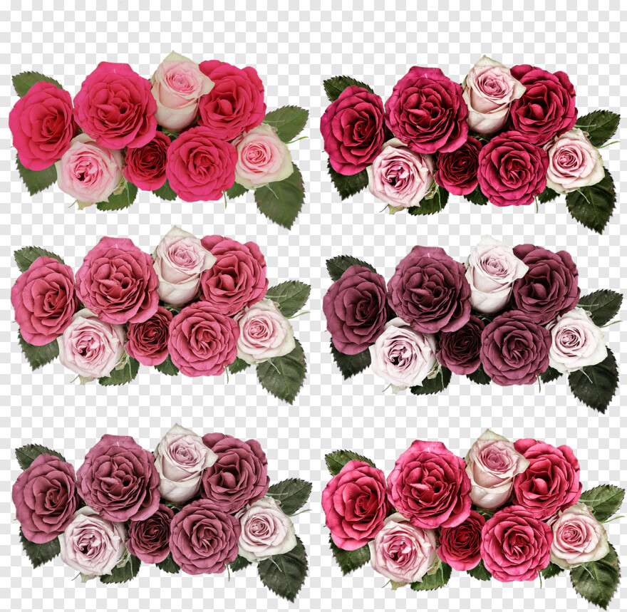  Wild Flowers, Rose Border, Rose Tattoo, Flowers Tumblr, Rose Petals Falling, Bouquet Of Roses