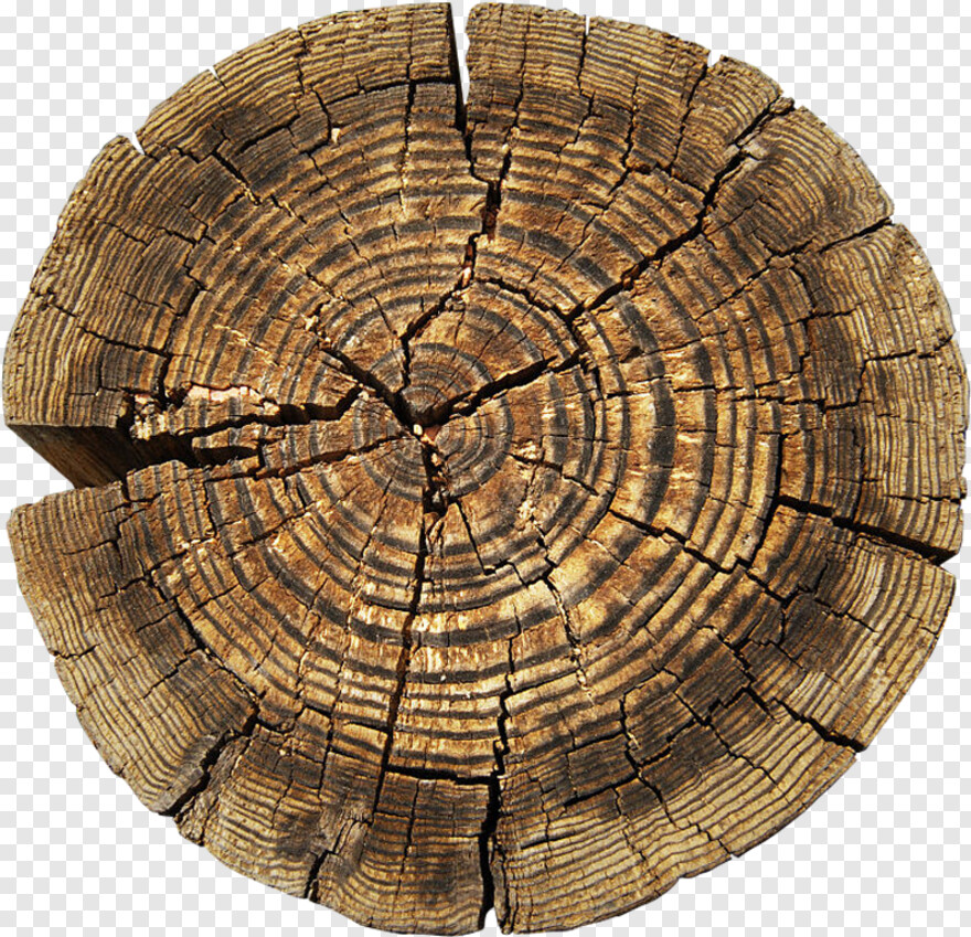 tree-stump # 461019