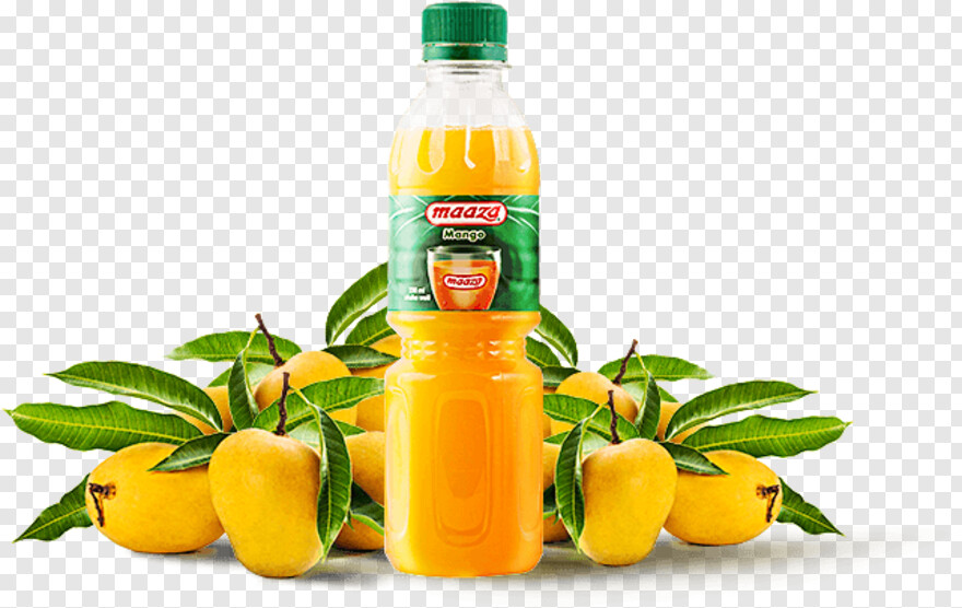 mango-juice # 734963