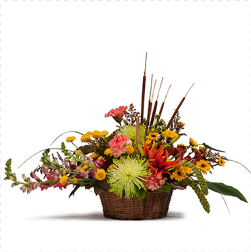 flower-basket # 483726