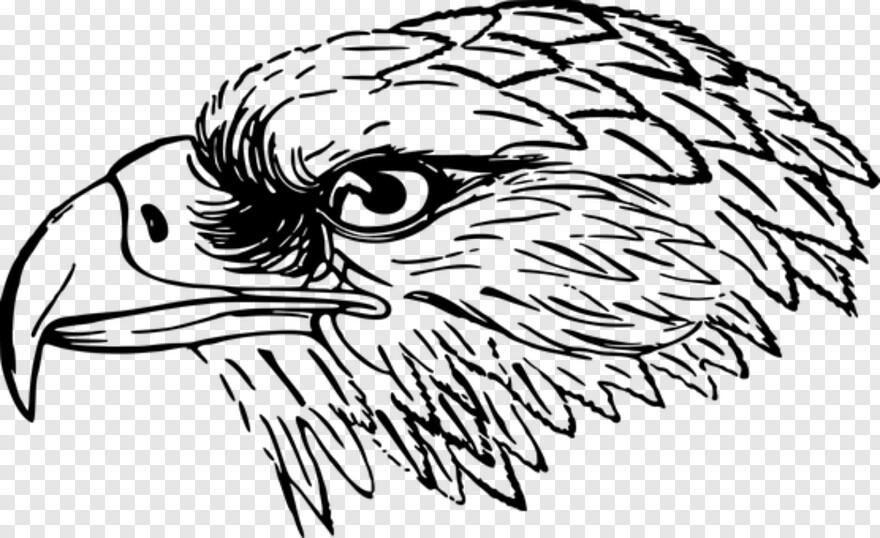 american-eagle # 389654