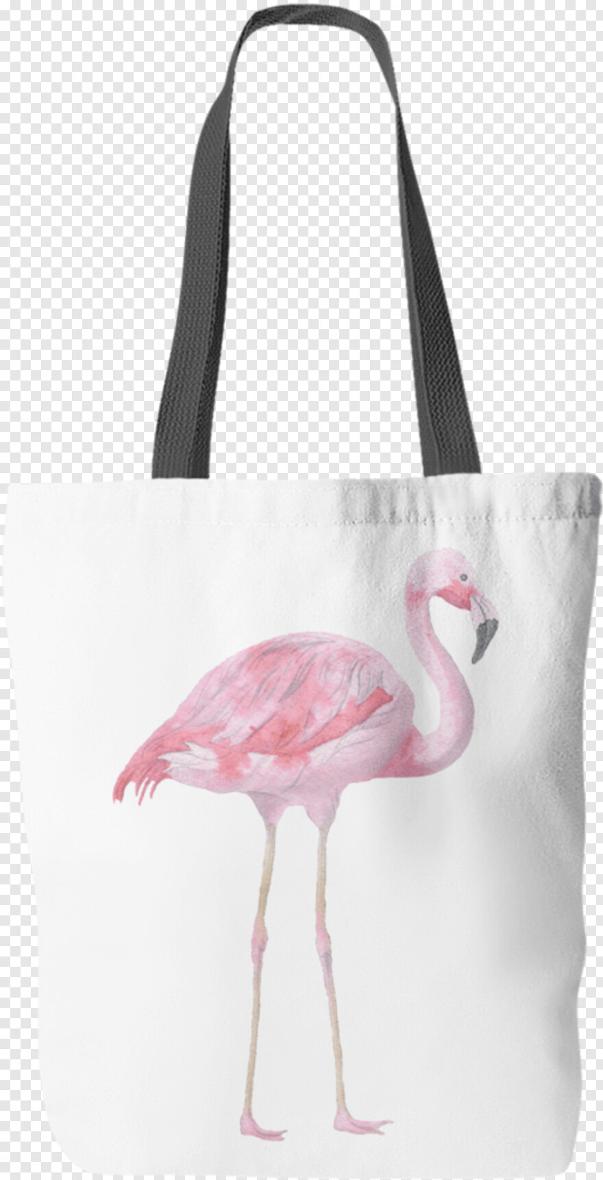 flamingo # 422450