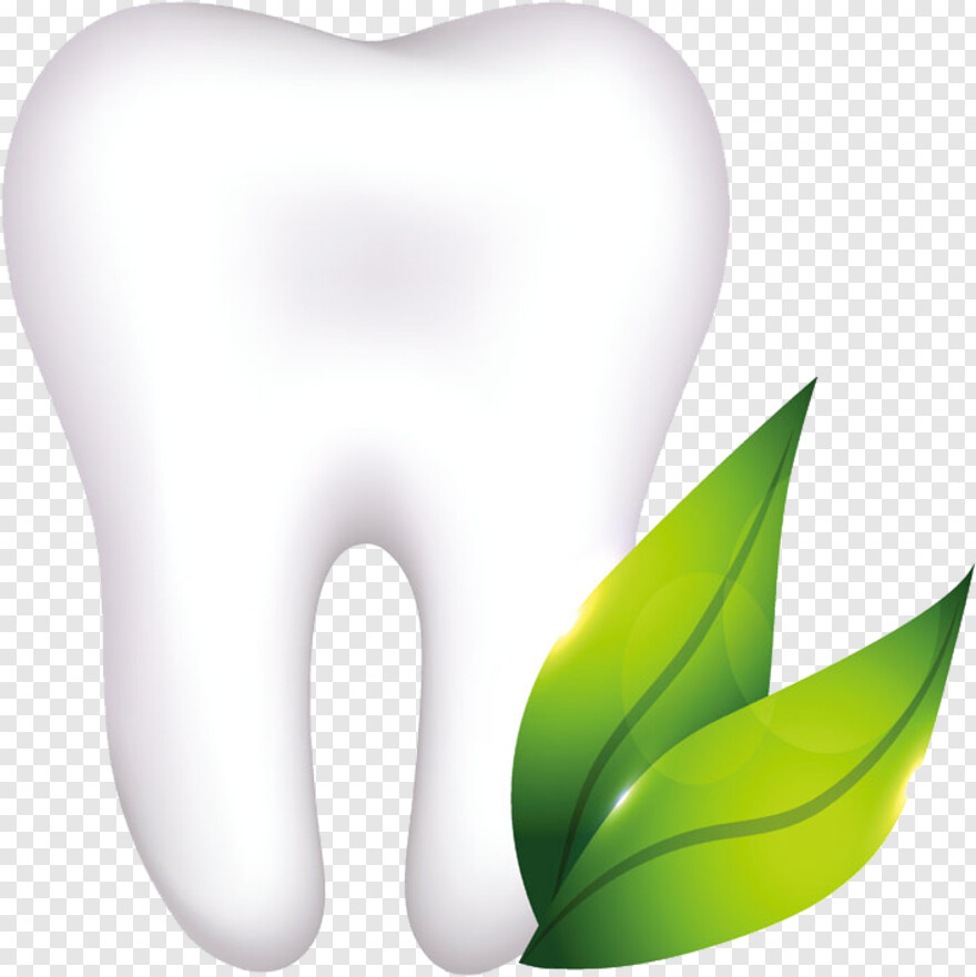  Tooth Icon, Tooth Outline, Tooth Brush, Tooth, Organic, Tooth Clipart