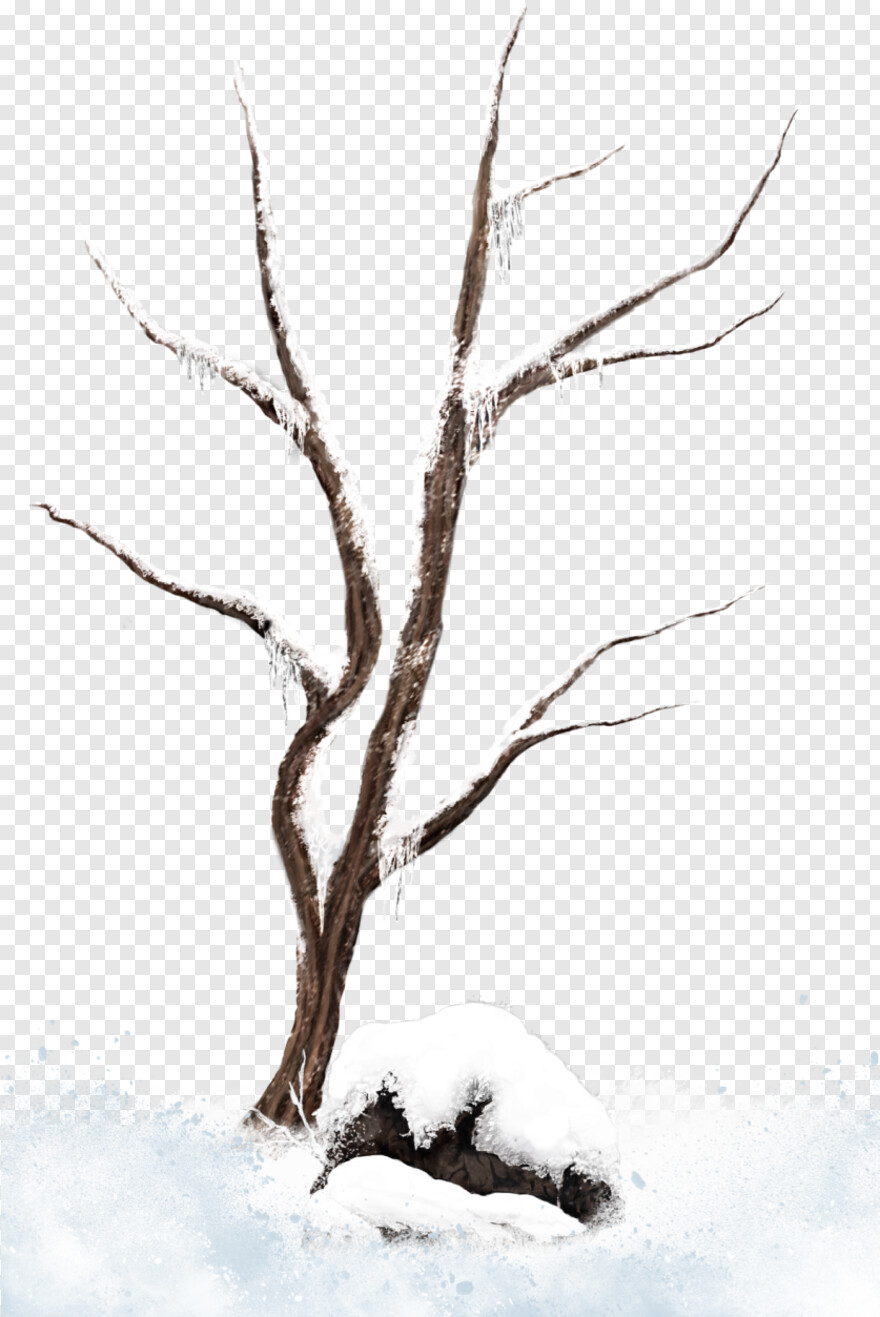 snowy-tree # 315205