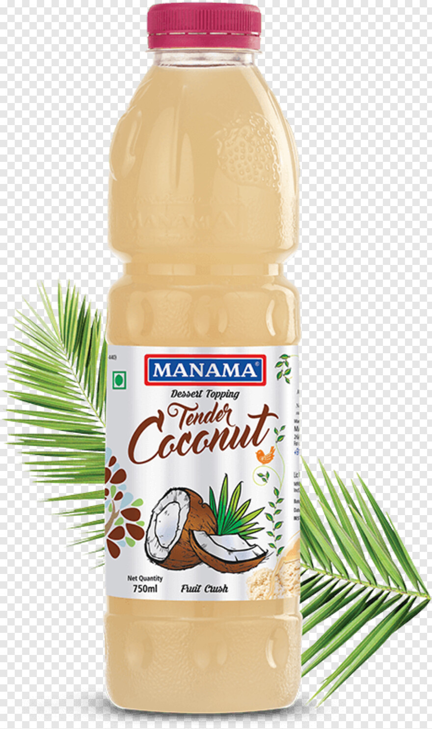 coconut # 325722