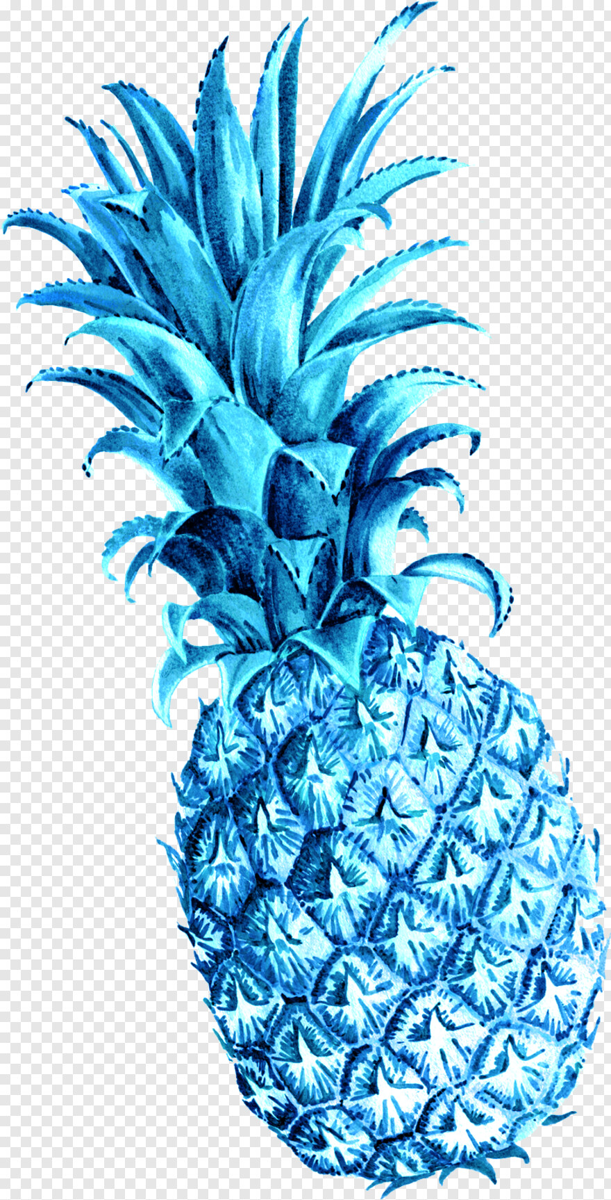 pineapple-clipart # 654170