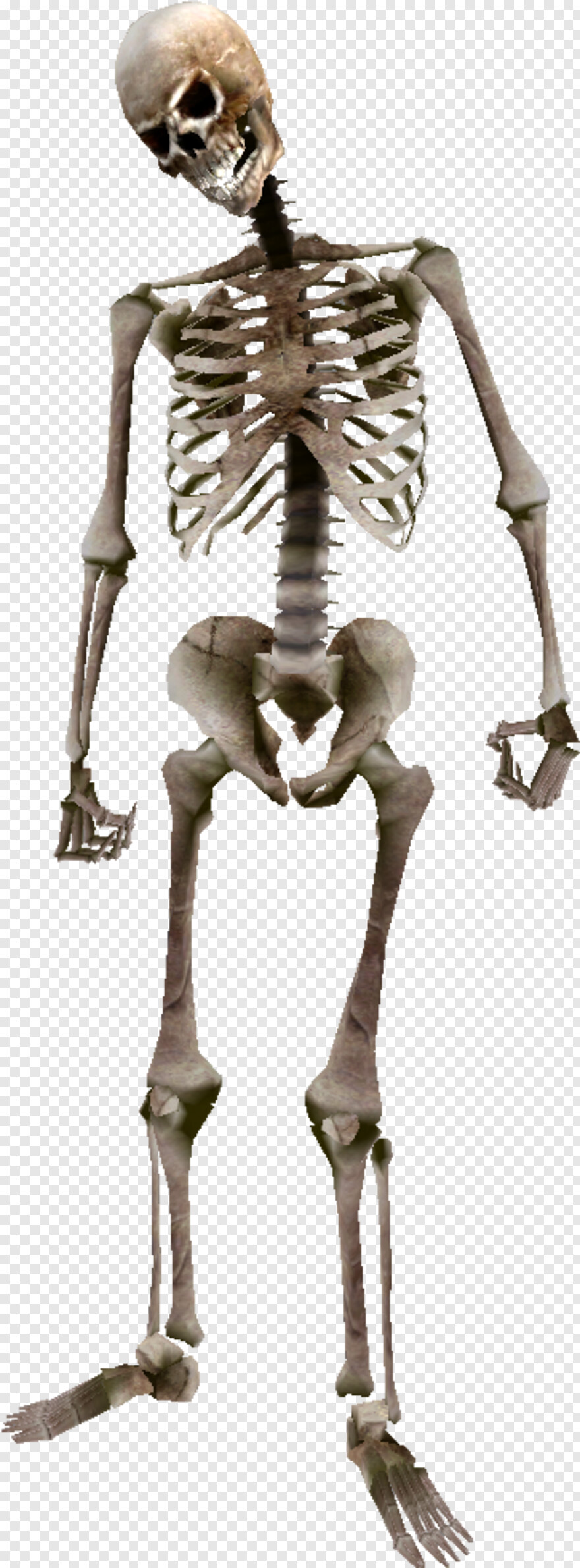 skeleton-head # 486384